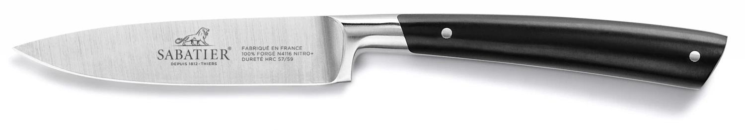 Lion Sabatier® Edonist Paring Knife 10cm 8 Lion Sabatier® Edonist Paring Knife 10cm - Image 6