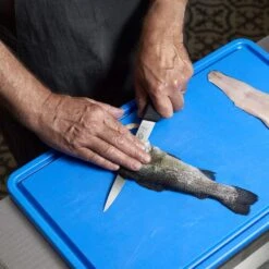 Victorinox Fibrox 20cm Filleting Knife Flexible Blade (5370320) 6 Victorinox Fibrox 20cm Filleting Knife Flexible Blade (5370320) -Kitchenknives Shop cut 5 3813 18 ls filleting ls2 2