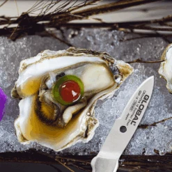 Global GSF22 - 11cm Utility Knife (GSF-22) 11 Global GSF22 - 11cm Utility Knife (GSF-22) -Kitchenknives Shop global gsf series 1