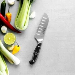 Robert Welch Professional V Santoku Knife 12cm 5 Robert Welch Professional V Santoku Knife 12cm -Kitchenknives Shop rwpsa2061v professional v santoku knife 12cm ps12 1