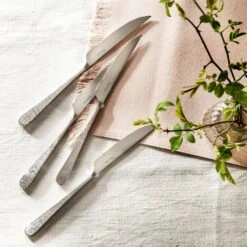 Robert Welch Skye Bright Steak Knife 4 Piece Set -Kitchenknives Shop skybr1012l cp1 6 steak knife squ