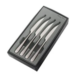 Robert Welch Skye Bright Steak Knife 4 Piece Set -Kitchenknives Shop skybr1012v4 skye br 4pc steak knife set 1