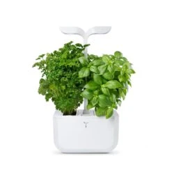Veritable EXKY 2-Slot Smart Indoor Garden In Arctic White 15 Veritable EXKY 2-Slot Smart Indoor Garden In Arctic White -Kitchenknives Shop vg vexk cawaw uk 49 1