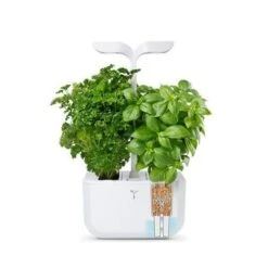 Veritable EXKY 2-Slot Smart Indoor Garden In Arctic White 10 Veritable EXKY 2-Slot Smart Indoor Garden In Arctic White -Kitchenknives Shop vg vexk cawaw uk 49 3