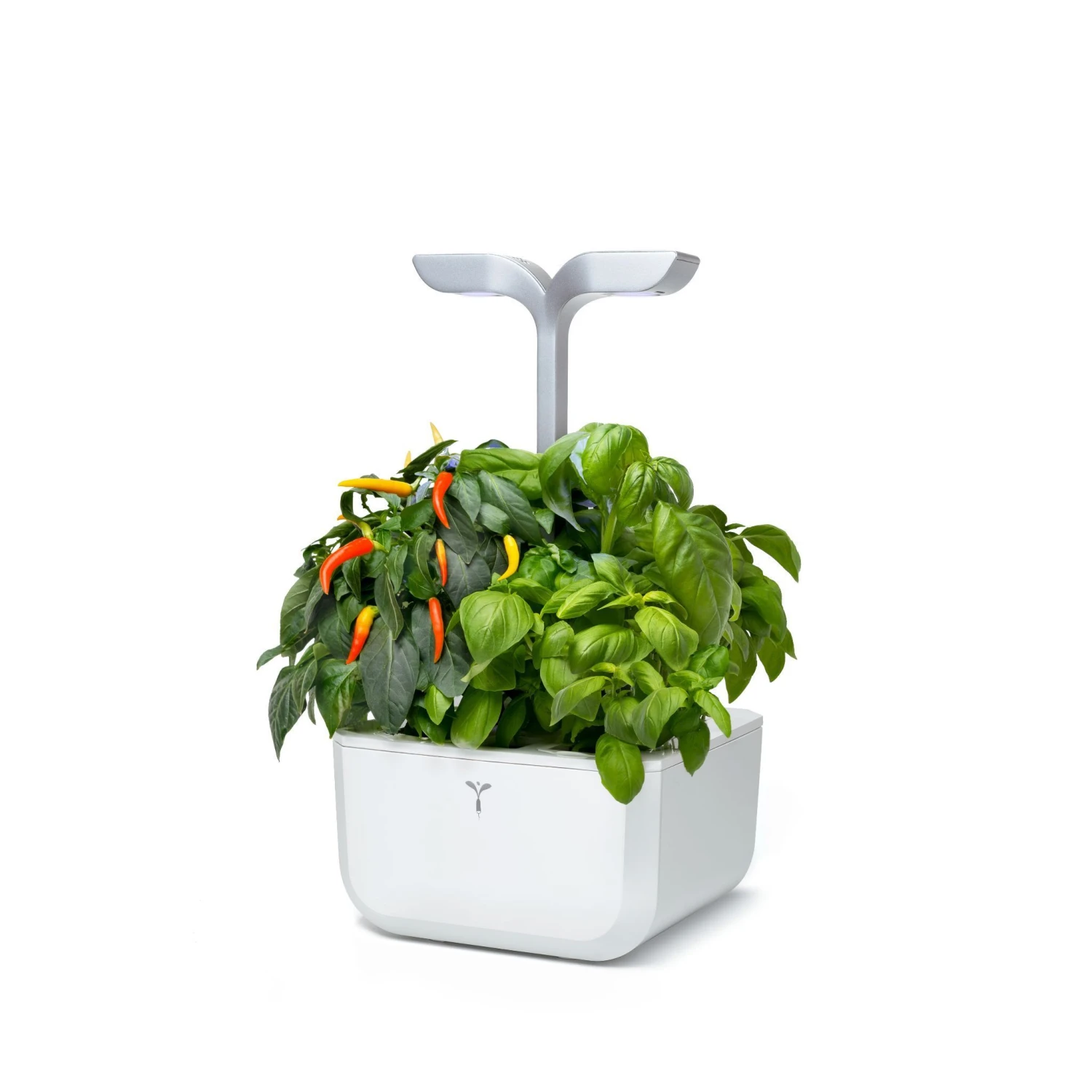 Veritable EXKY 2-Slot Smart Indoor Garden In Arctic White & Satin Silver 6 Veritable EXKY 2-Slot Smart Indoor Garden In Arctic White & Satin Silver - Image 4