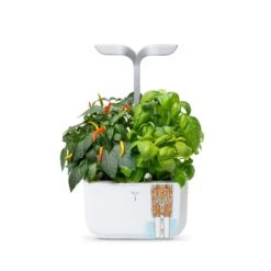 Veritable EXKY 2-Slot Smart Indoor Garden In Arctic White & Satin Silver 10 Veritable EXKY 2-Slot Smart Indoor Garden In Arctic White & Satin Silver -Kitchenknives Shop vg vexk sawas uk 50 3