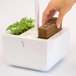 Veritable EXKY 2-Slot Smart Indoor Garden In Arctic White & Satin Silver 9 Veritable EXKY 2-Slot Smart Indoor Garden In Arctic White & Satin Silver -Kitchenknives Shop vg vexk sawas uk 50 4