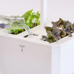 Veritable EXKY 2-Slot Smart Indoor Garden In Arctic White & Satin Silver 13 Veritable EXKY 2-Slot Smart Indoor Garden In Arctic White & Satin Silver -Kitchenknives Shop vg vexk sawas uk 50 5