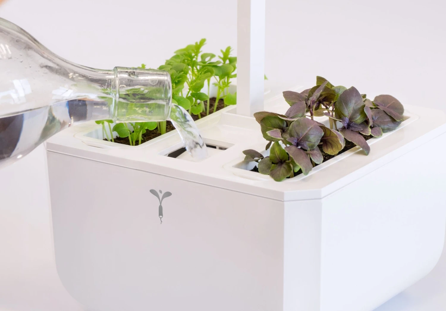 Veritable EXKY 2-Slot Smart Indoor Garden In Arctic White & Satin Silver 8 Veritable EXKY 2-Slot Smart Indoor Garden In Arctic White & Satin Silver - Image 6
