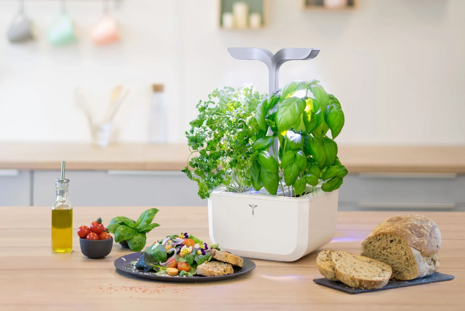 Veritable EXKY 2-Slot Smart Indoor Garden In Arctic White & Satin Silver 7 Veritable EXKY 2-Slot Smart Indoor Garden In Arctic White & Satin Silver - Image 5