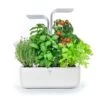 Veritable Classic - 4-Slot Smart Indoor Garden In Arctic White & Satin Silver -Kitchenknives Shop vg vpot sawas uk 7 1
