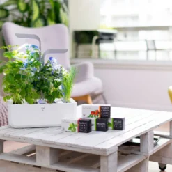 Veritable Classic - 4-Slot Smart Indoor Garden In Arctic White & Satin Silver -Kitchenknives Shop vg vpot sawas uk 7 6